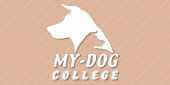 קורס אילוף במכללת MyDog